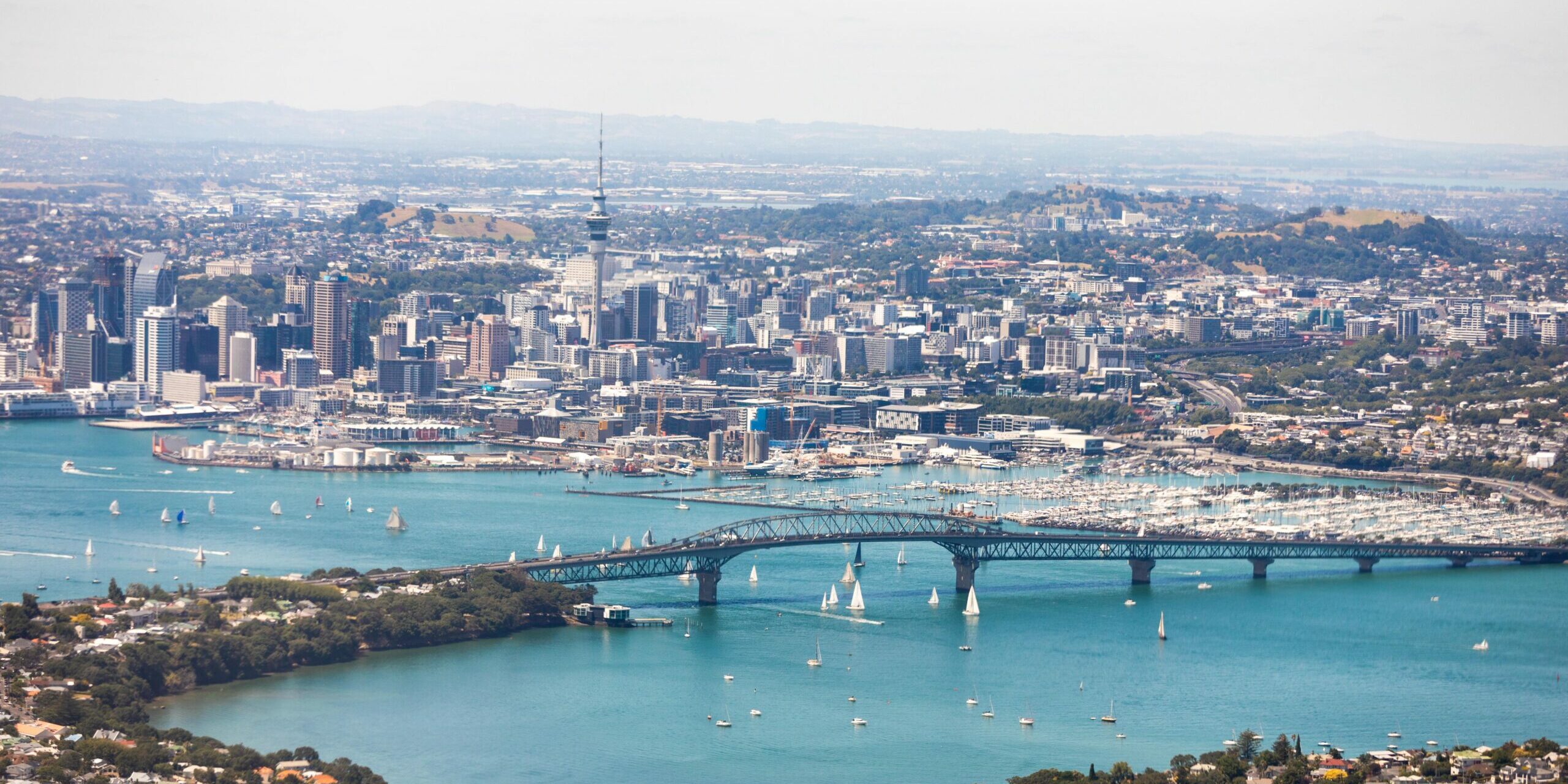 Explore Auckland