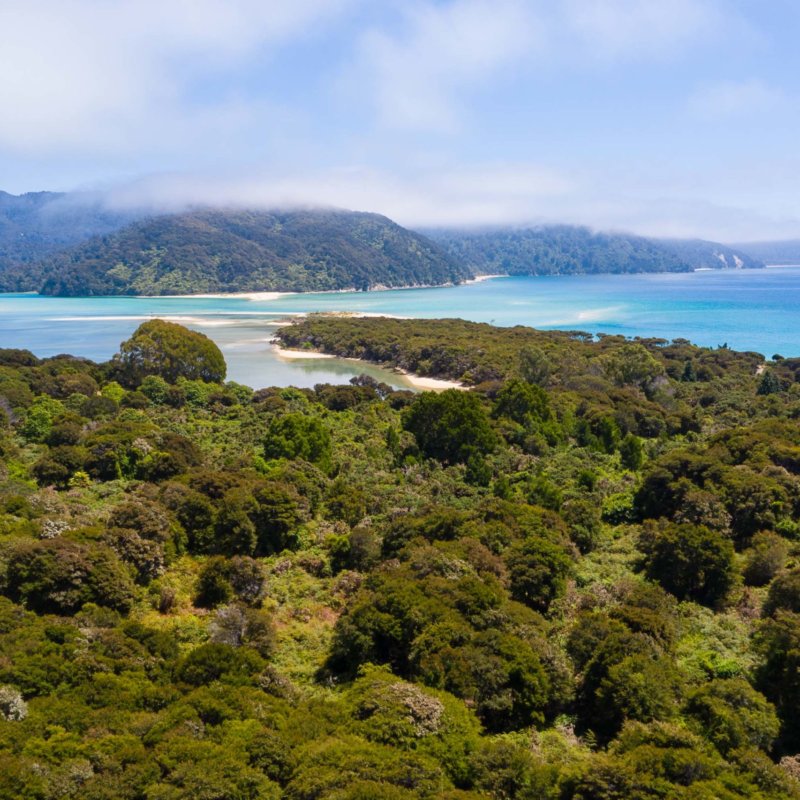 Awaroa-Lodge-13-scaled