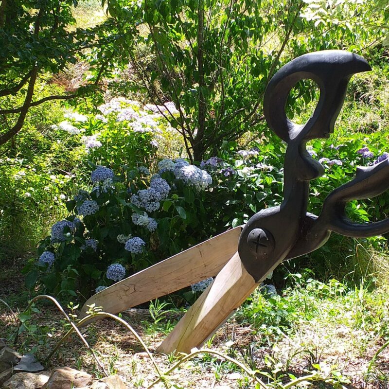 scissors with hydrangeas